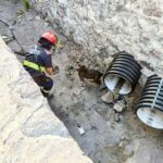 Rescatan a canina durante incendio en La Peña.