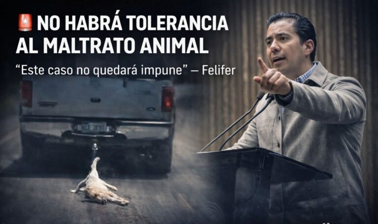 🚨🐶 No habrá tolerancia contra el maltrato animal; Felifer.