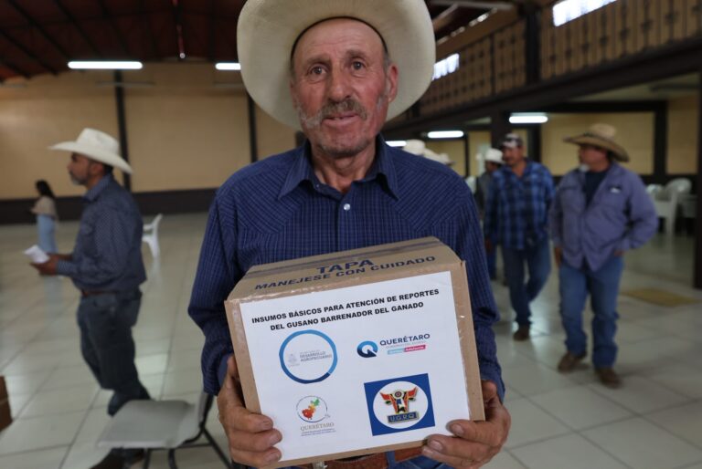 Refuerzan combate al gusano barrenador