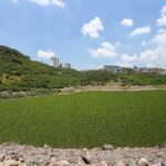 Impulsan saneamiento de la presa El Batán